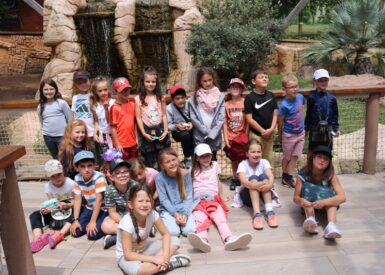 visite-au-zoo-pour-les-cp-ce