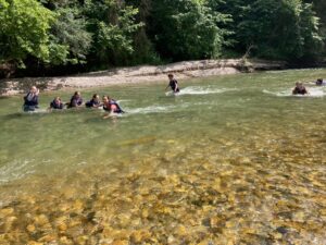 IMG-20250611-WA0106