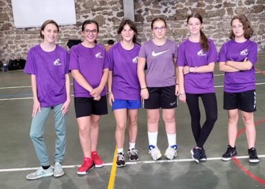 basket-pour-lunss